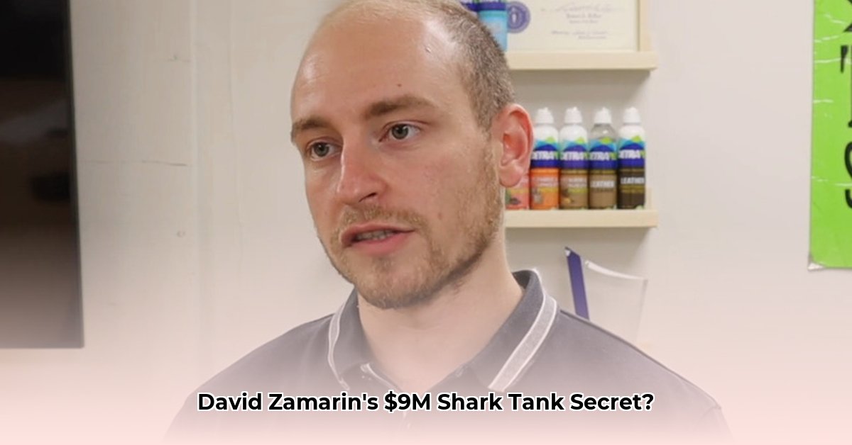 david-zamarin-net-worth
